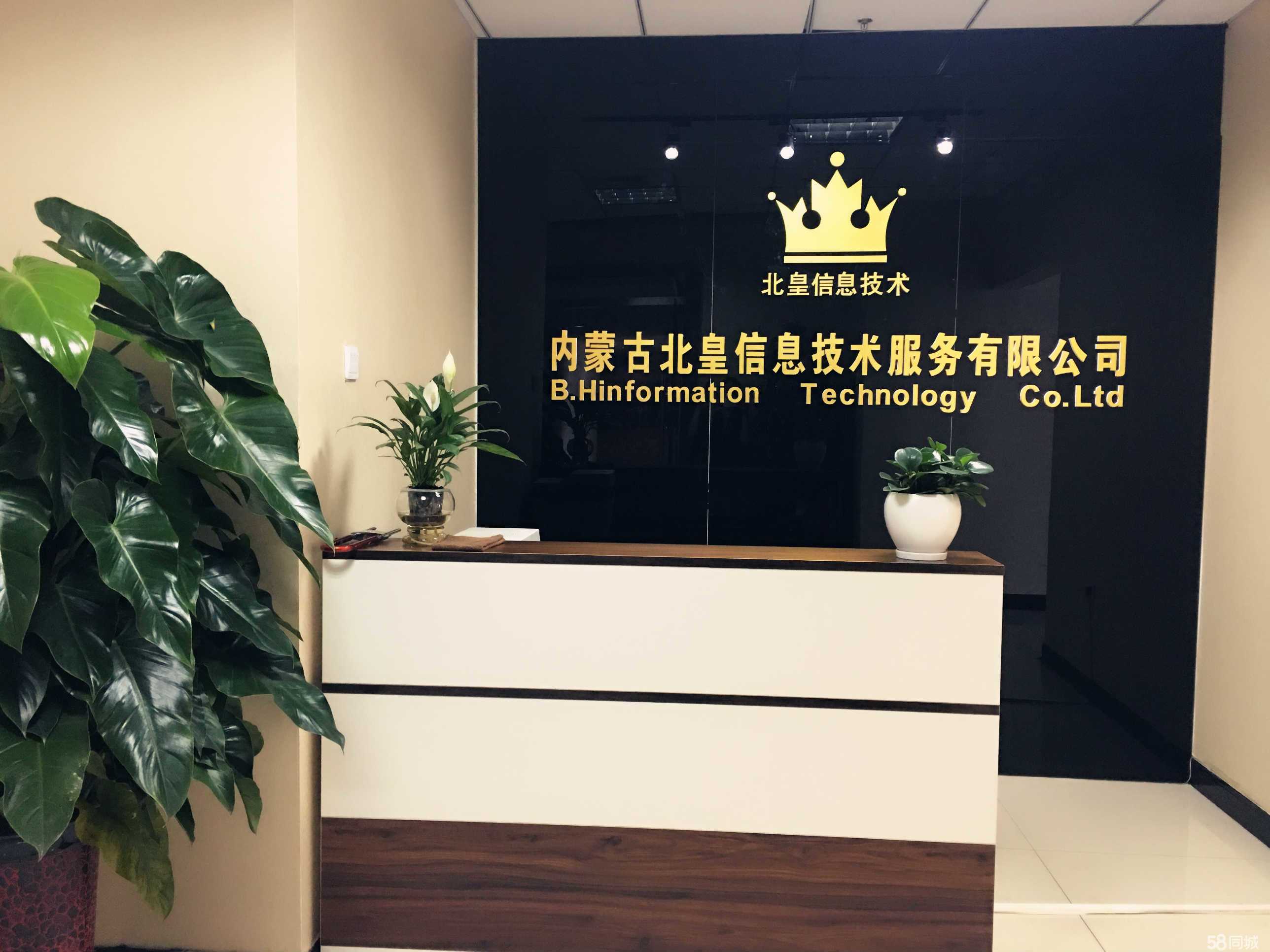 数字化转型视域下内外蒙信息技术服务赋能与模式创新探析