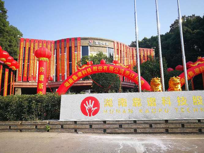 信息技术咨询服务 企业数字化转型的核心驱动力