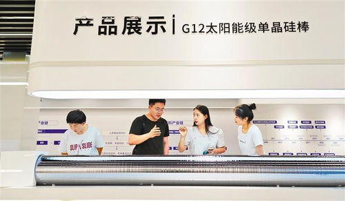 赛罕争先 引领信息技术咨询服务的卓越实践